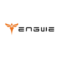 Engwe DE