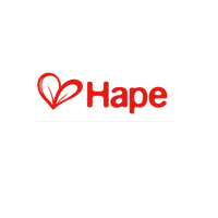 Hape Toys
