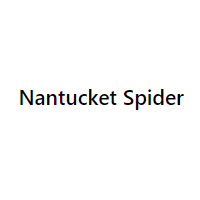 Nantucket Spider