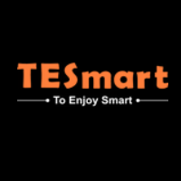 TESmart